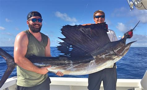 charter fishing around daytona beach.